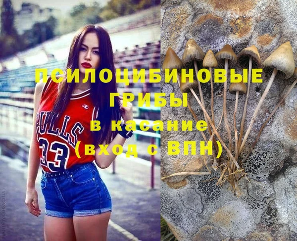 бутират Снежногорск