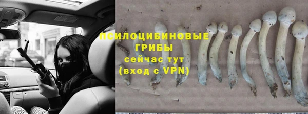 мдма Богородск