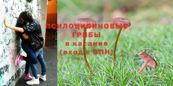 гидра Слюдянка