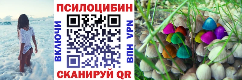 где продают   Южно-Сухокумск  Псилоцибиновые грибы Psilocybine cubensis 